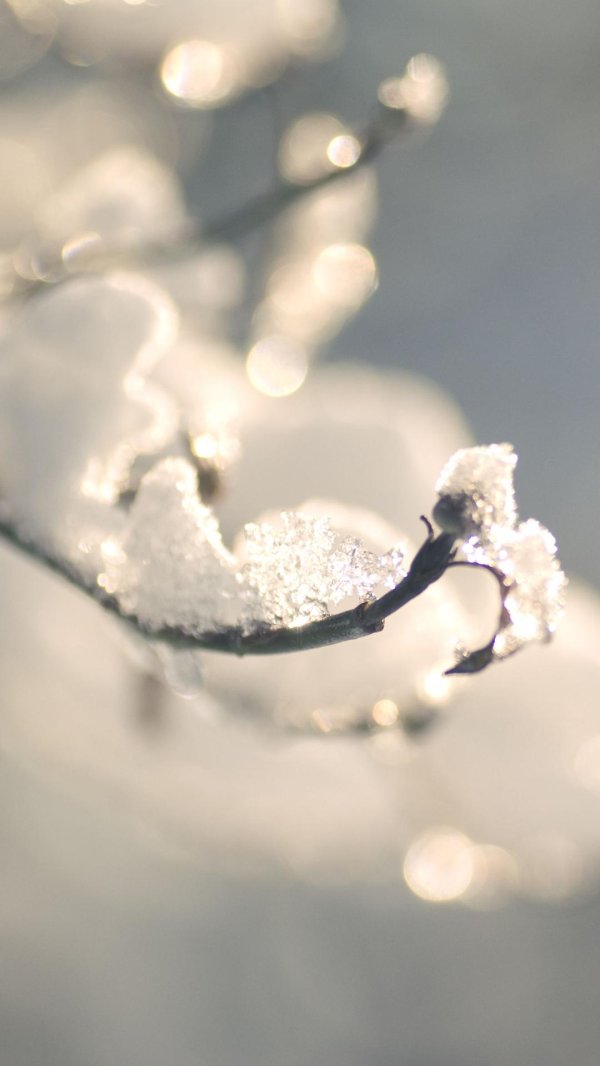 Макро зима
