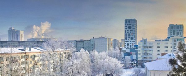 Зима из окна