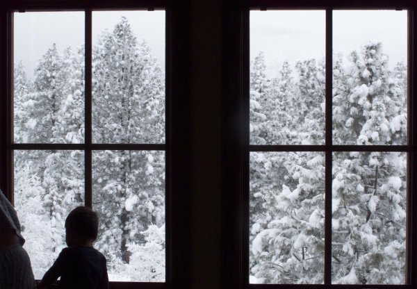 Зима из окна