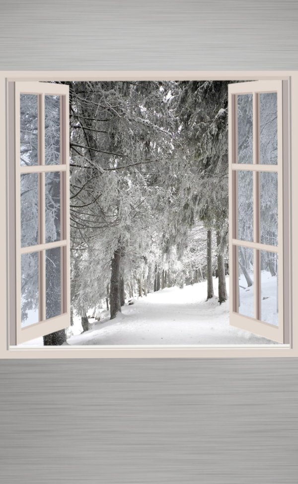 Зима из окна
