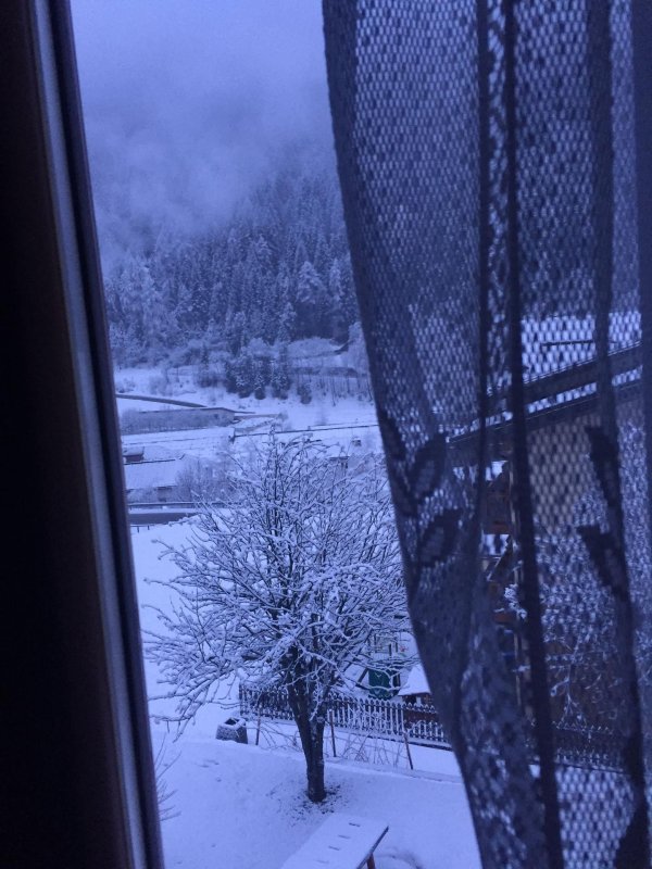 Зима из окна