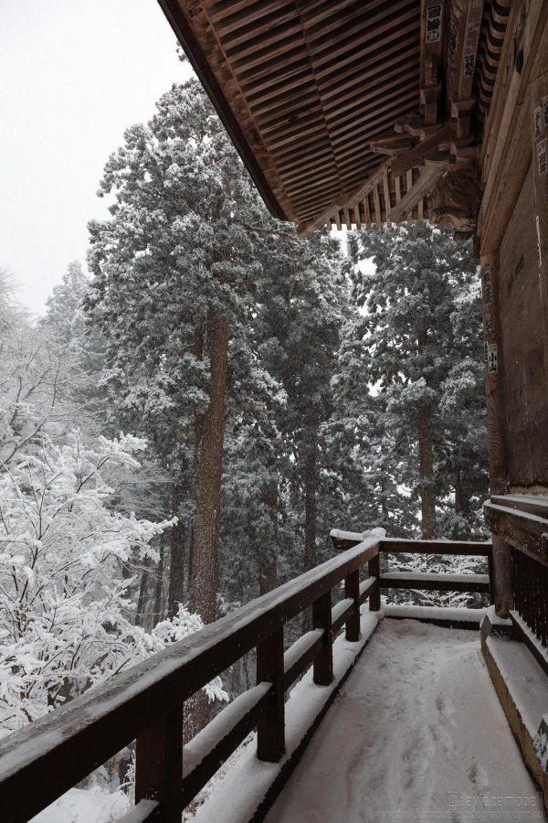 Зима из окна