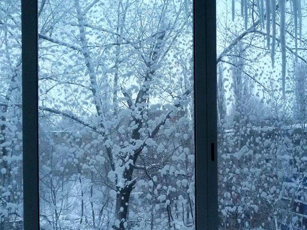 Зима из окна