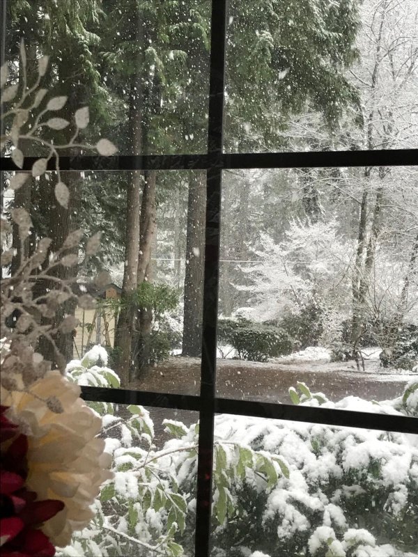 Зима из окна