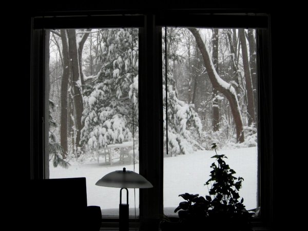 Зима из окна