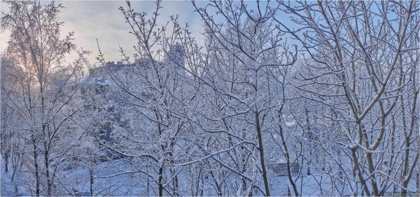 Зима из окна