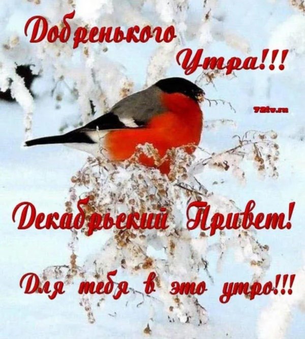 Благословенного дня зима