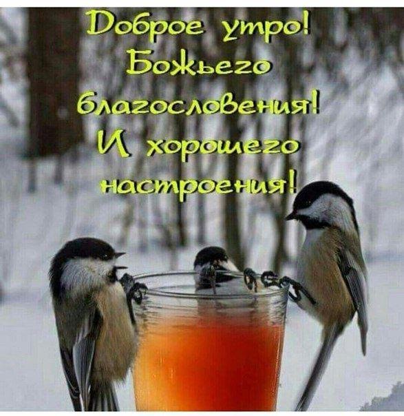 Благословенного дня зима