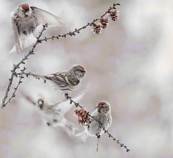 Благословенного дня зима