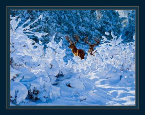 Природы зима с животными