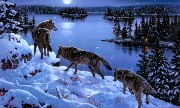 Природы зима с животными