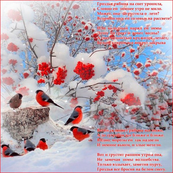 Красавица зима