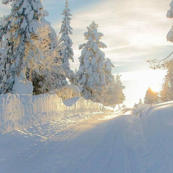 Красавица зима