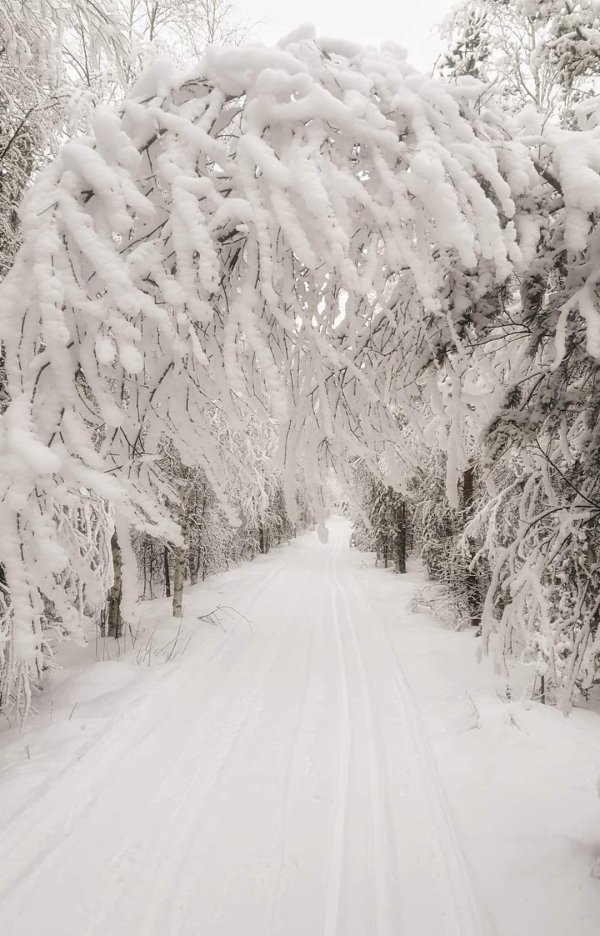 Красавица зима