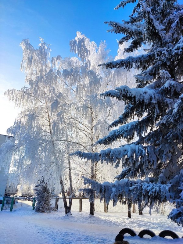 Красавица зима