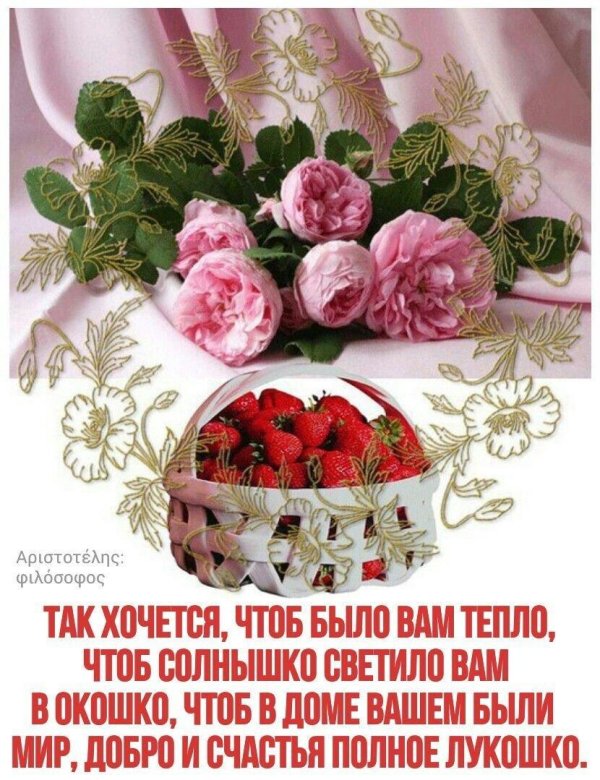 так хочется чтоб было вам тепло чтоб солнышко светило