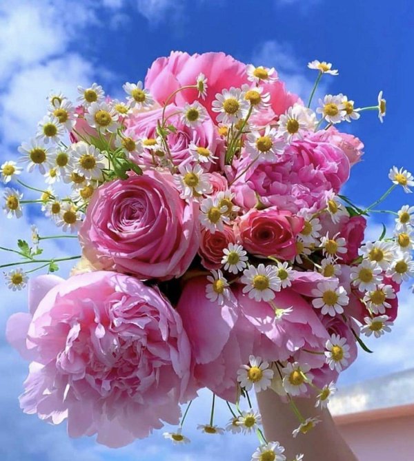 цветочные букеты