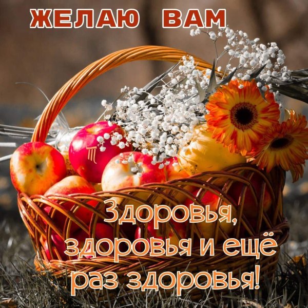 пожелание здоровья