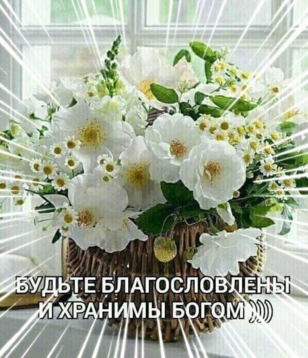 светлого дня