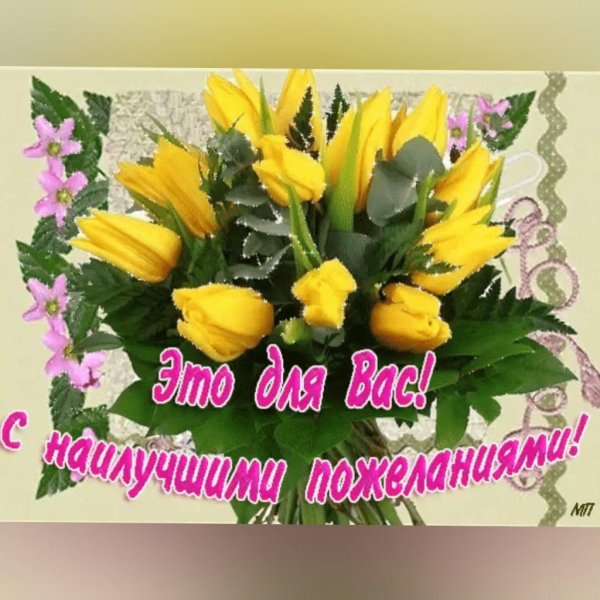 цветы поздравления