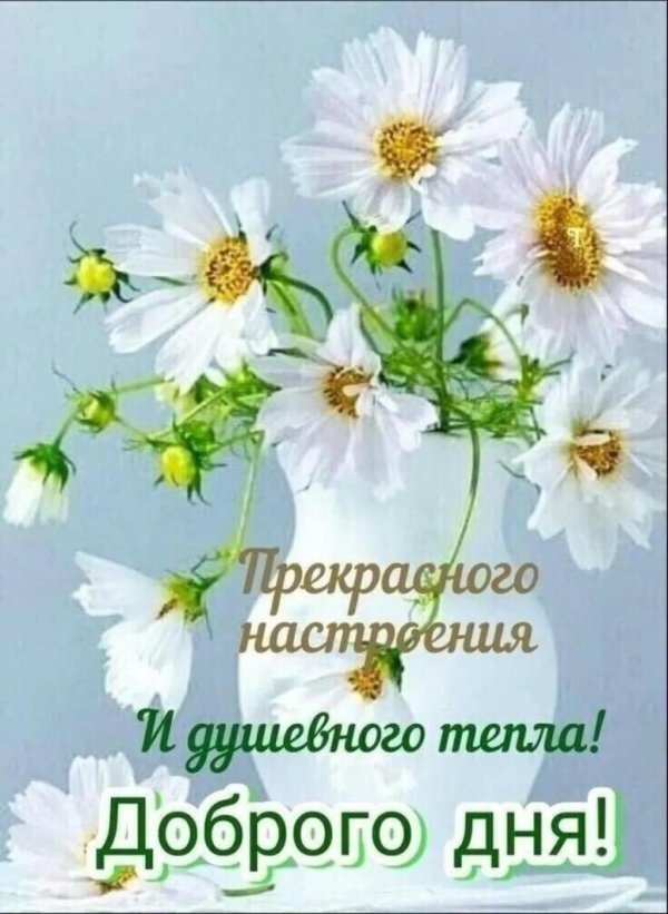 прекрасного настроения