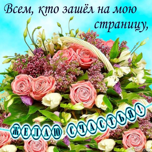 открытки и поздравления