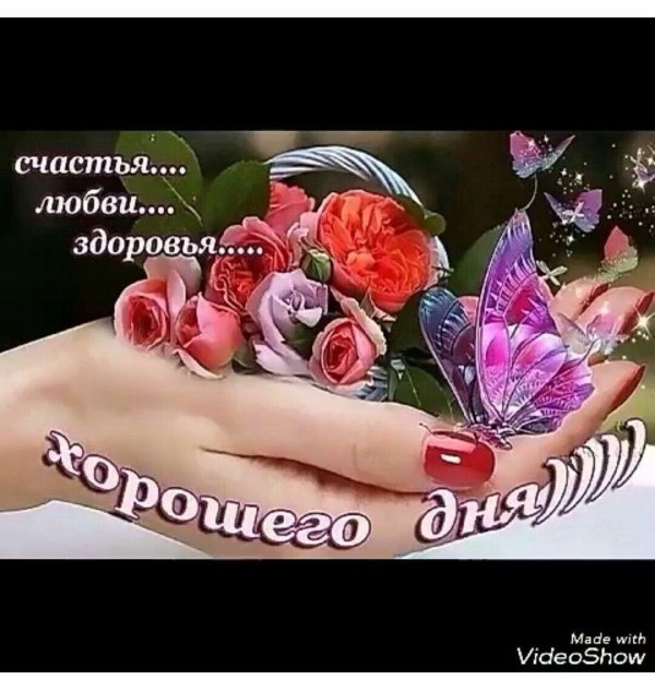 счастья на весь день