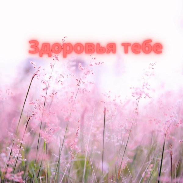 полезная трава