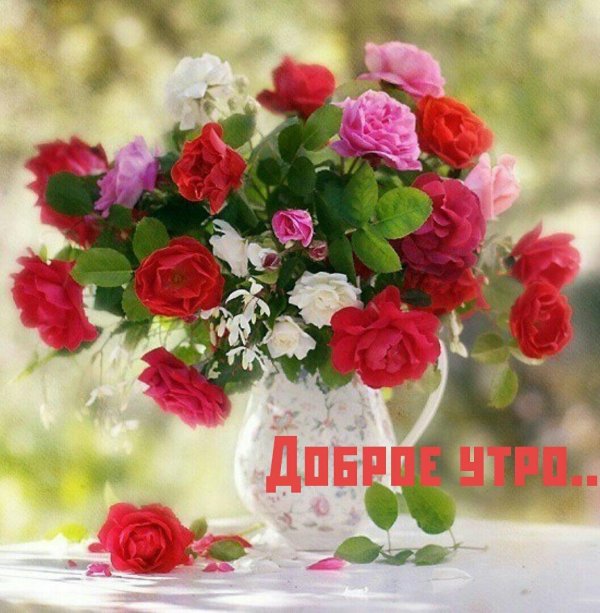 прекрасный утренний букет
