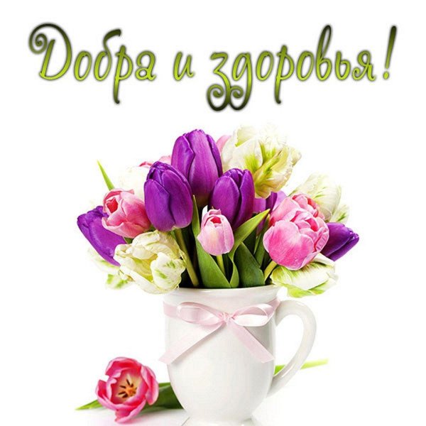 8 марта сиреневые тюльпаны