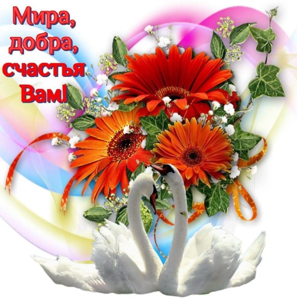 добра и счастья