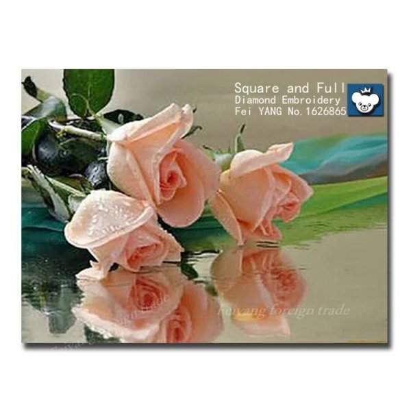 нежная роза