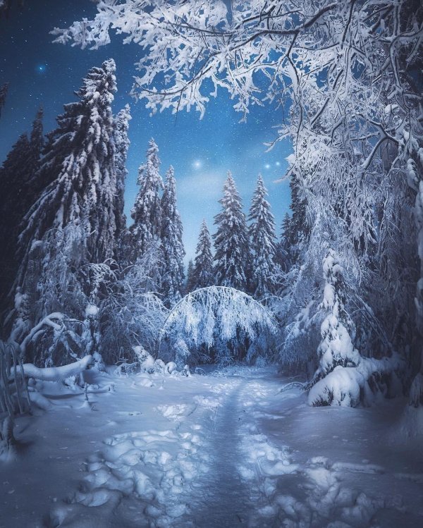 Волшебная зима