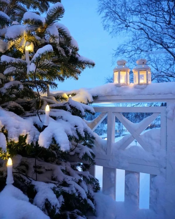 Волшебная зима