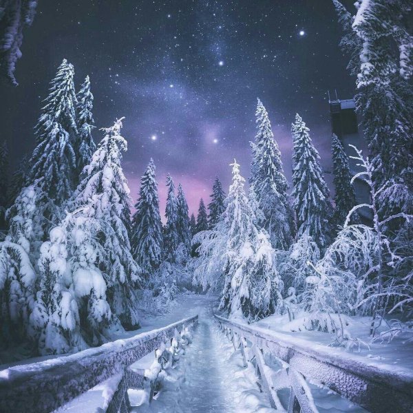 Волшебная зима