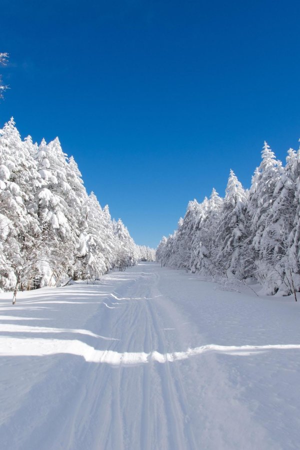 Волшебница зима