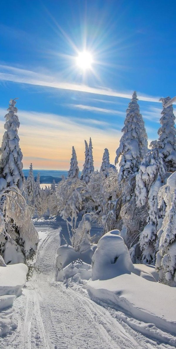 Волшебница зима