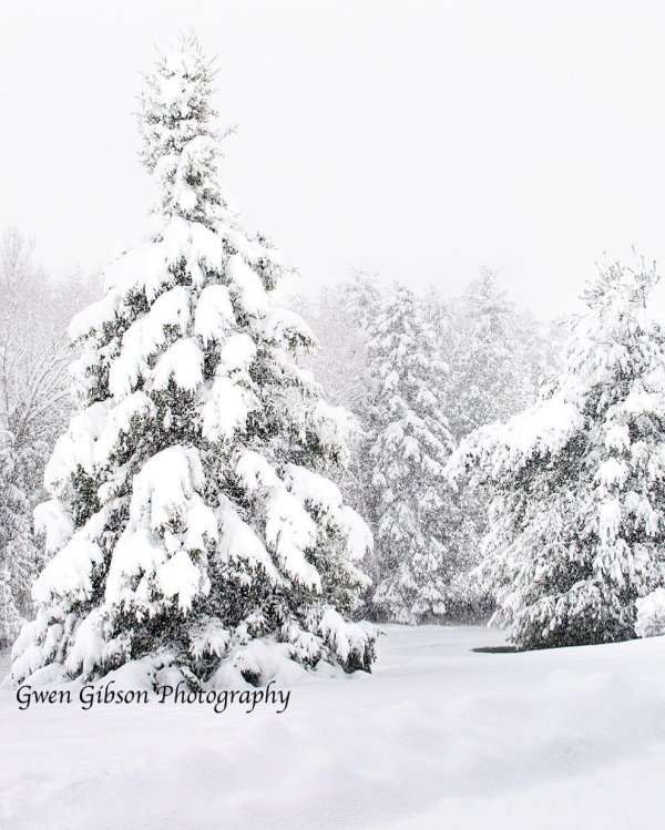 Волшебница зима