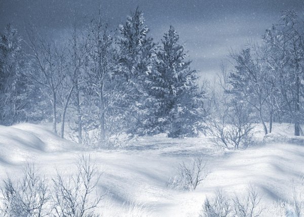 Волшебница зима