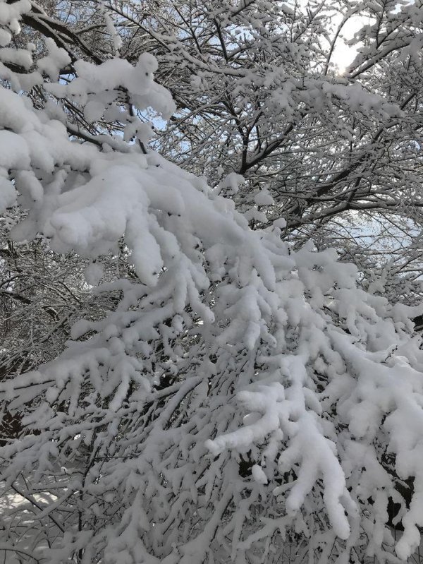 Волшебница зима