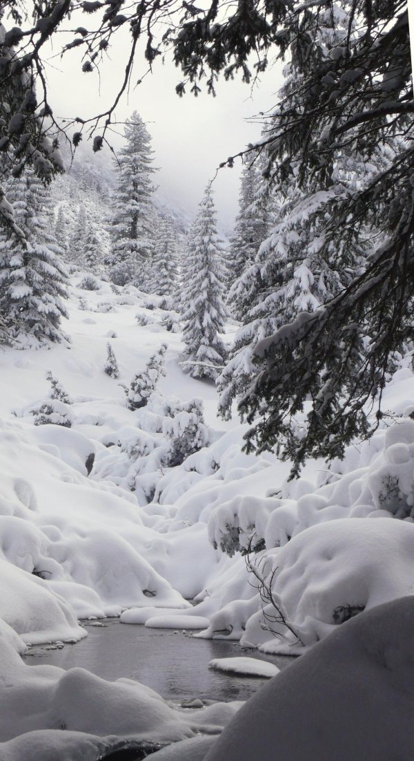 Волшебница зима