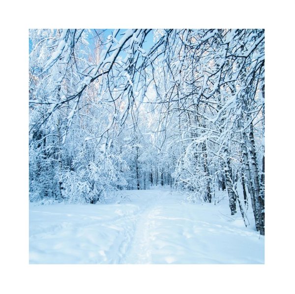 Волшебница зима