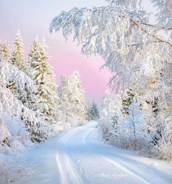 Волшебница зима