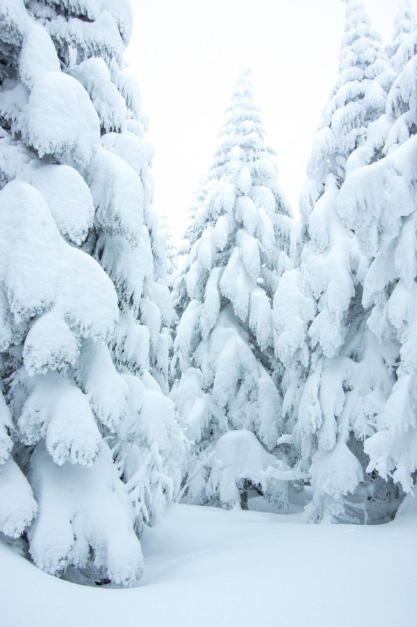 Волшебница зима