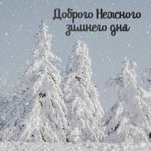 Зима спасибо