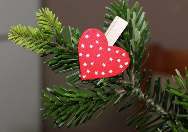 Зима спасибо