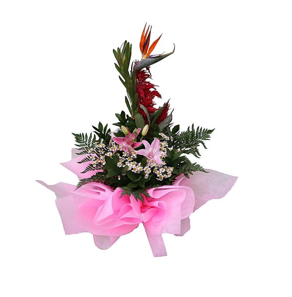 Зима спасибо