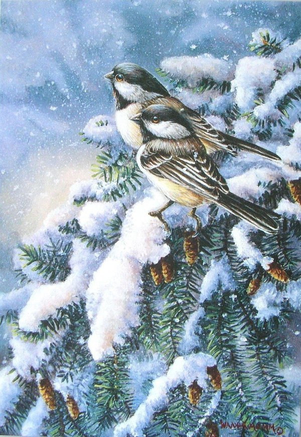 Зима спасибо