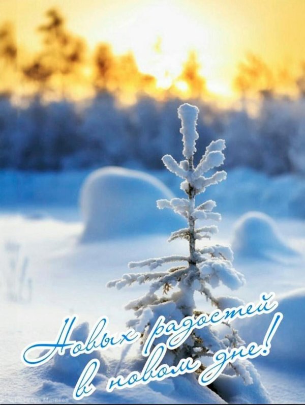 Зима спасибо