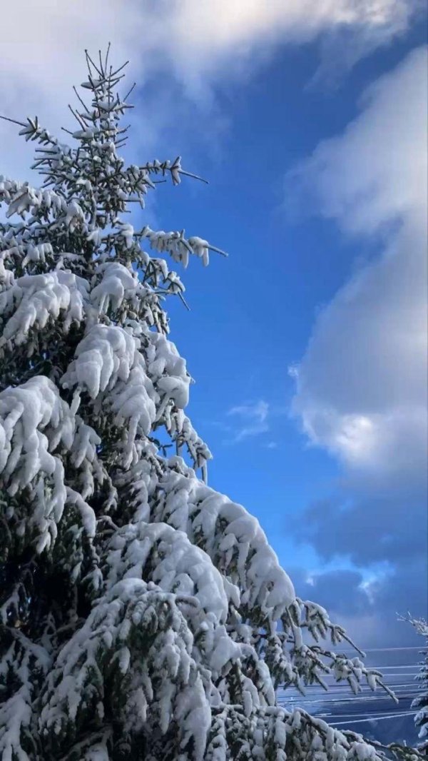 Зима спасибо